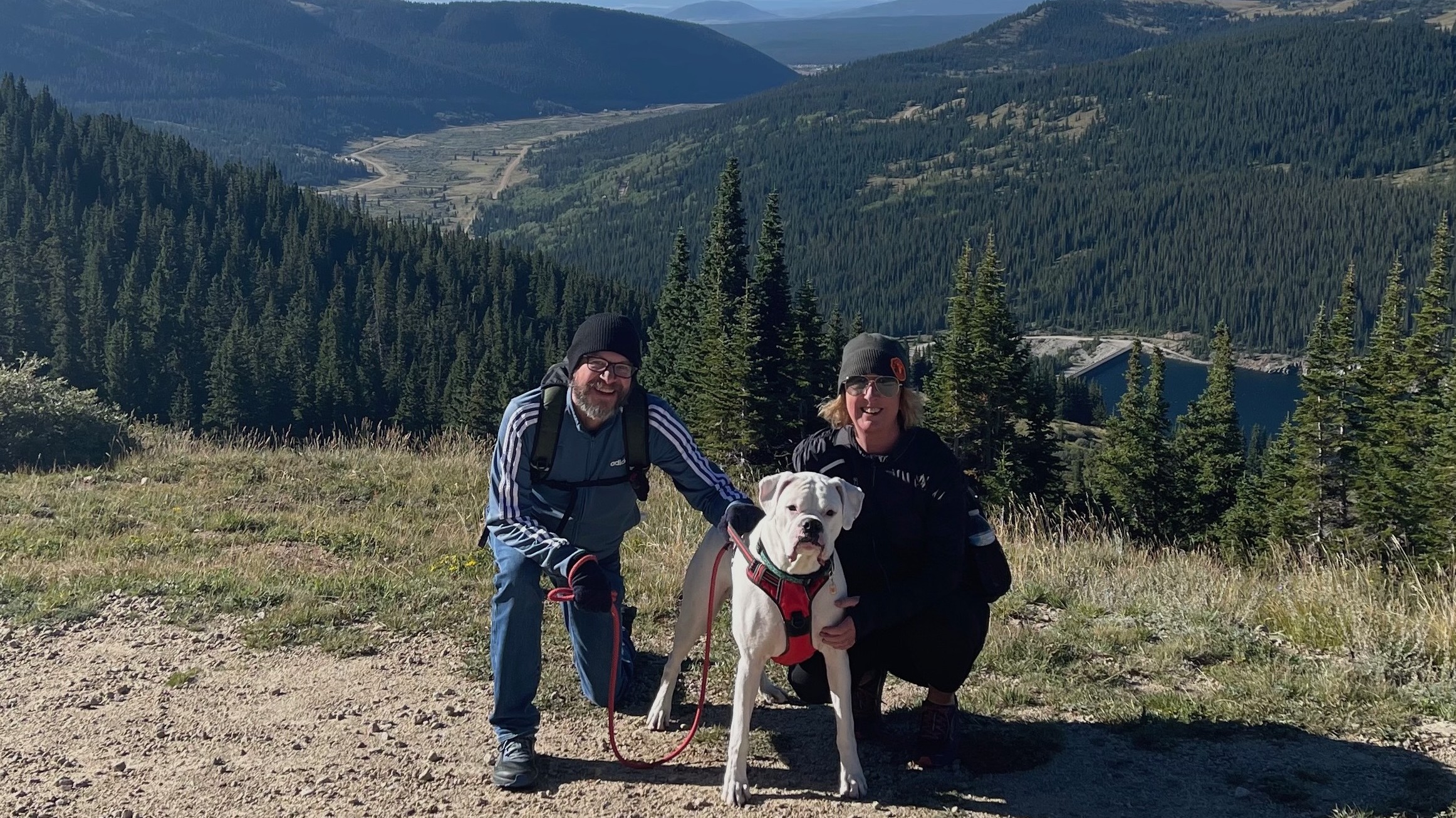 We Are Puppet Ate a Bird